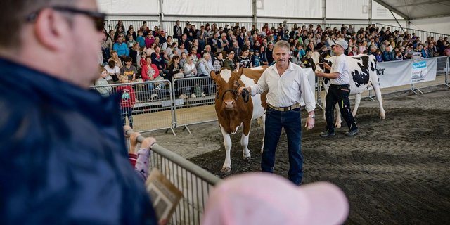 Volle Tribünen, meist sind es Nicht-Züchtende. Die Tiervorführungen samt publikumsgerechter  Kommentierung in der Arena sind bei Luga-Besuchenden sehr beliebt.  