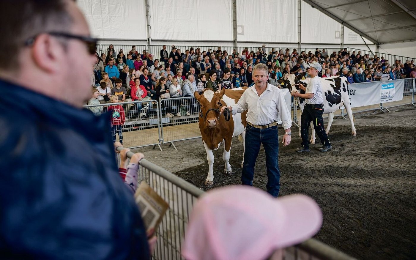 Volle Tribünen, meist sind es Nicht-Züchtende. Die Tiervorführungen samt publikumsgerechter  Kommentierung in der Arena sind bei Luga-Besuchenden sehr beliebt.  