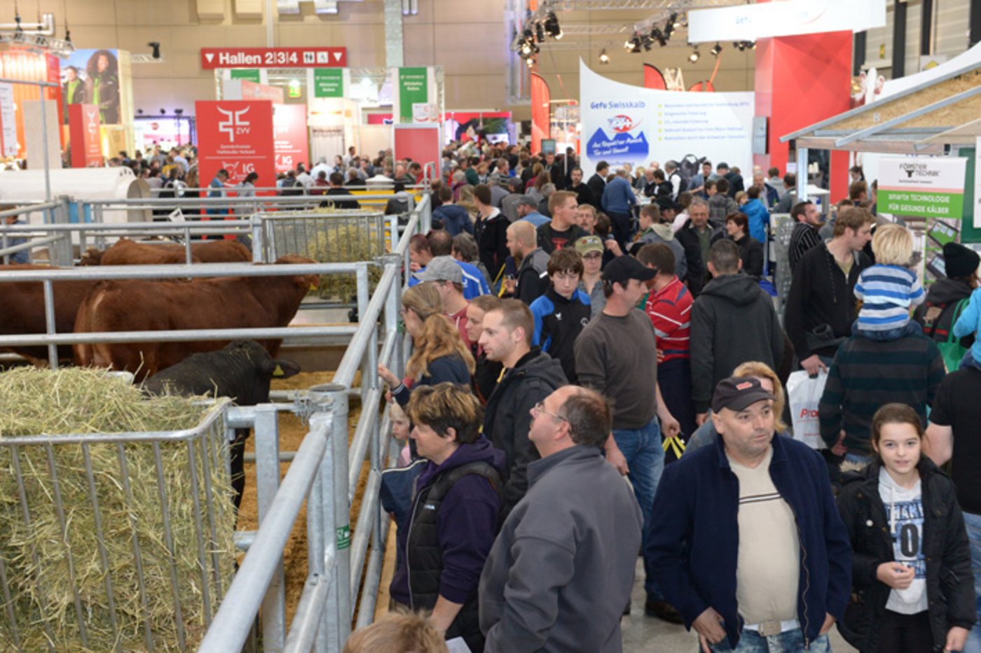 An der Suisse Tier erfuhren die Besucher das Neueste zur Nutzviehhaltung. (Bild zVg)