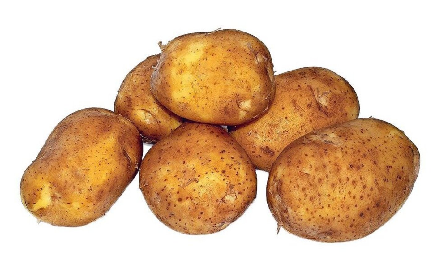 Am Bio-Kartoffel-Höck auf dem Tännlihof drehte sich alles um den Kartoffelanbau. 