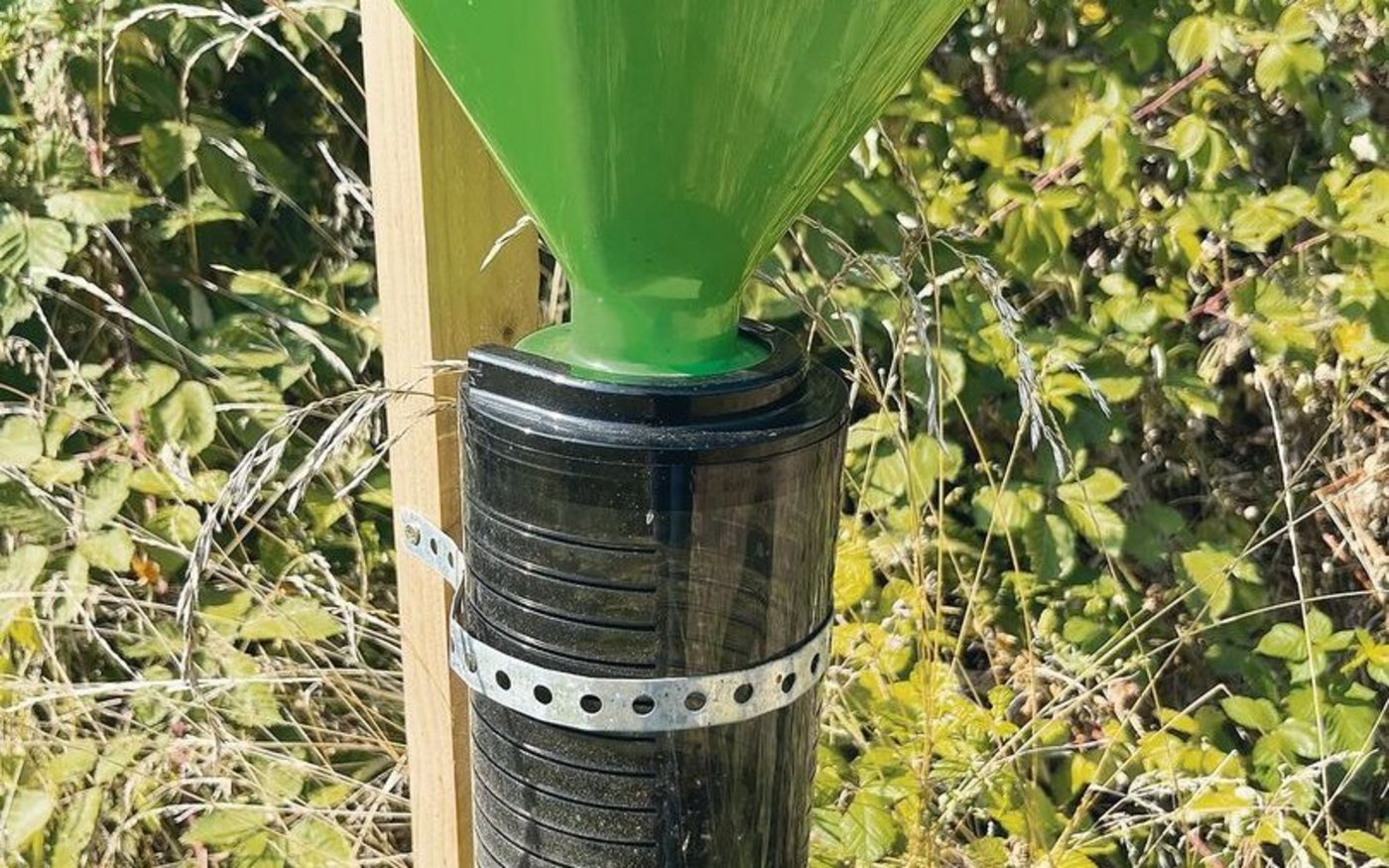 Überall sind Fallen platziert, um Käfer zu fangen.