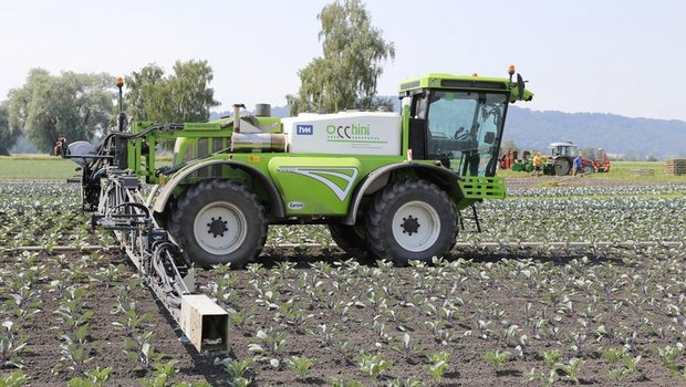 Der Ständerat will sich bei der Reduktion von Pflanzenschutzmitteln auf den Aktionsplan des Bundes abstützen. (Bild lid)