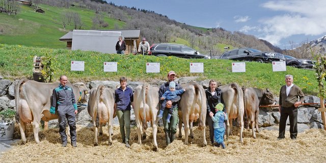 Diese erstklassige A-Zuchtfamilie mit Stammkuh Bianca von Familie Elmer-Elmer wurde mit 92 Punkten bewertet. (Bilder Barbara Bäuerle-Rhyner)