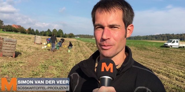 Im Video erzählt Simon van der Veer über seinen Anbau von Süsskartoffeln. (Bild Screenshot Youtube)