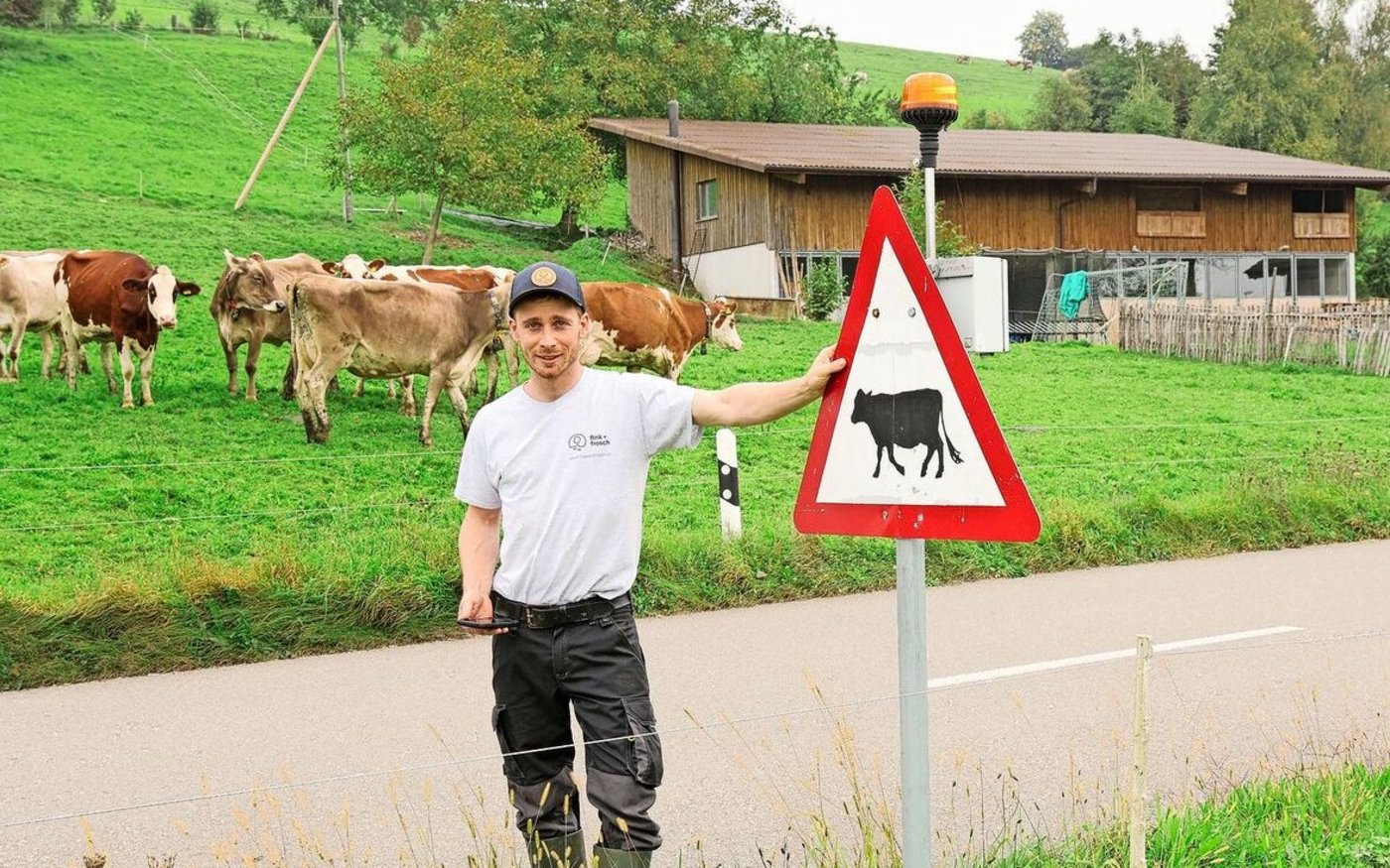 An dieser Strasse fing alles an: Damit die Kühe sicher auf die andere Seite gelangen, baute Andreas Pfister ein ferngesteuertes Drehlicht inklusive App.