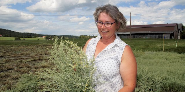 Marlise Baur freut sich an ihrem Wermut. (Bild lid)