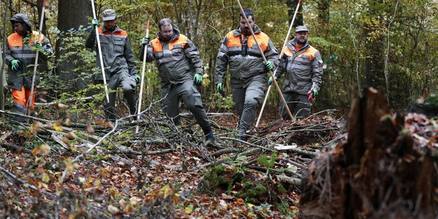 Zivilschützer rücken in einer Reihe, mit Stangen ausgerüstet im Wald vor.