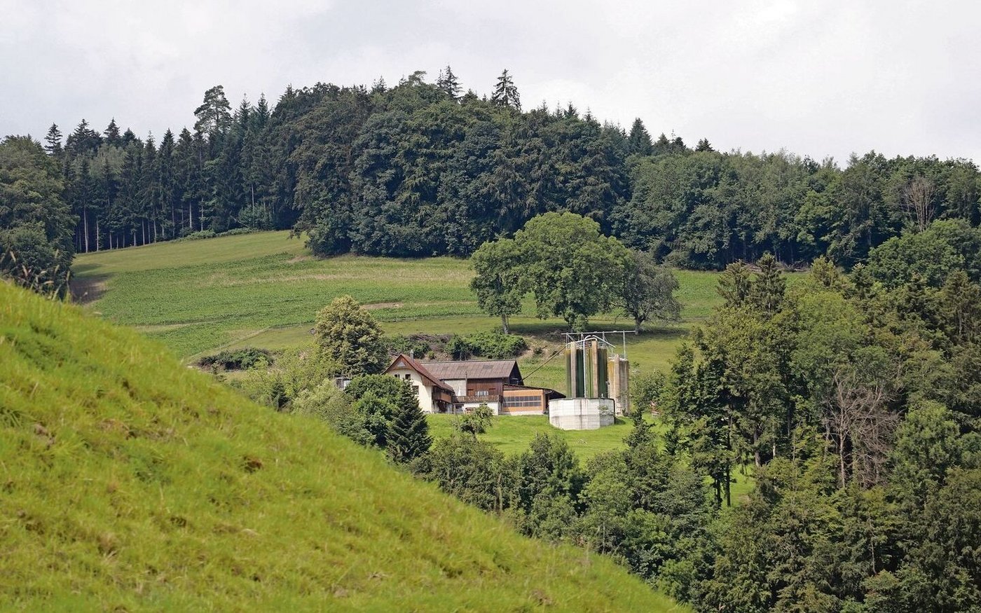 Landwirtschaftsbetriebe haben viele Auflagen zu erfüllen. Schon kleine Fehler können DZ-Kürzungen zur Folge haben.