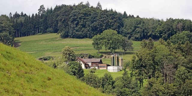 Landwirtschaftsbetriebe haben viele Auflagen zu erfüllen. Schon kleine Fehler können DZ-Kürzungen zur Folge haben.
