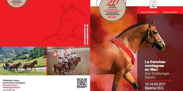 Am Samstag 13. Mai startet das Fest. (Screenshot SFV)