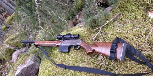 Aus Sicht der Bündner Behörden sind einige rechtliche Fragen im Umgang mit Wölfen bisher ungeklärt. Diese sollen bis zum kommenden Alpsommer geklärt werden. (Bild ulfake76/Pixabay) 