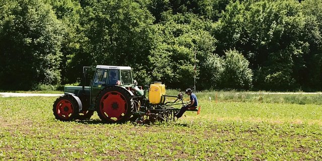 Hacken und Bandspritzen können gleichzeitig oder nacheinander erfolgen. Bei Bedarf lassen sich ältere Hackgeräte mit einer Bandspritze nachrüsten(Bild Alexandra Stückelberger)