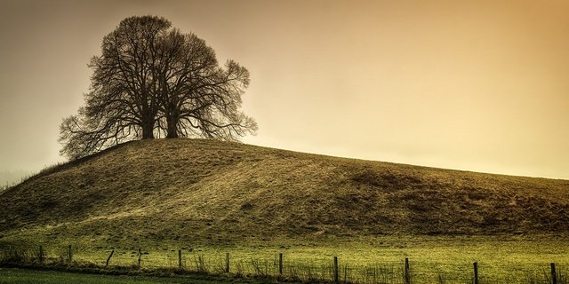 Öffentliche Anlagen sind geschlossen – landwirtschaftliche Nutzfläche ist aber kein Ersatz dafür. (Symbolbild Pixabay)