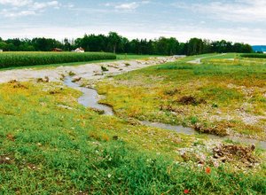 Auch der Grabenbach in Münsingen BE fliesst nun offen durch intensive Landwirtschaftsfläche. (Bild TBA, Bern)