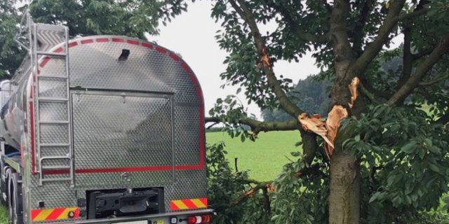 Beim Unfall kam es an Lastwagen und Baum zu einem Sachschaden von rund 50'000 Franken. (Bild Luzerner Polizei)