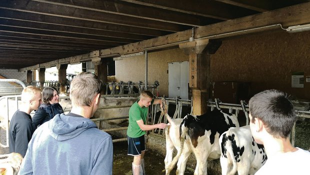 Tierhaltung ist in den allermeisten Fällen das Lieblingsfach: Doch auch Themen wie das Image der Bauern in der Gesellschaft oder Agrarpolitik interessieren Lernende schon, zumindest in Massen. (Bild Jeanne Woodtli/BauernZeitung)