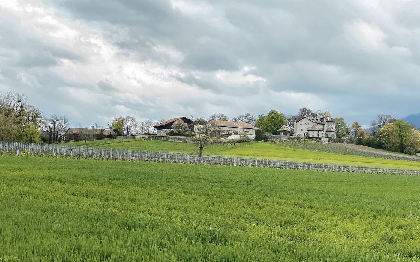 Blick auf das Château du Crest und den dazugehörigen Landwirtschaftsbetrieb. Das Schloss wurde 1624 von Théodore Agrippa d’Aubigné erbaut – an selber Stelle stand schon zuvor ein Château. 1637 erwarb die Familie Micheli das Schloss. Bis heute ist es in Familienbesitz.  