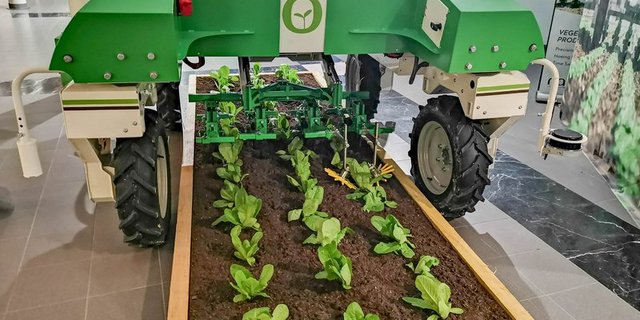 Tausendsassa Agrarroboter: Sie analysieren, überwachen, hacken, spritzen und ernten. (David Eppenberger/LID) 