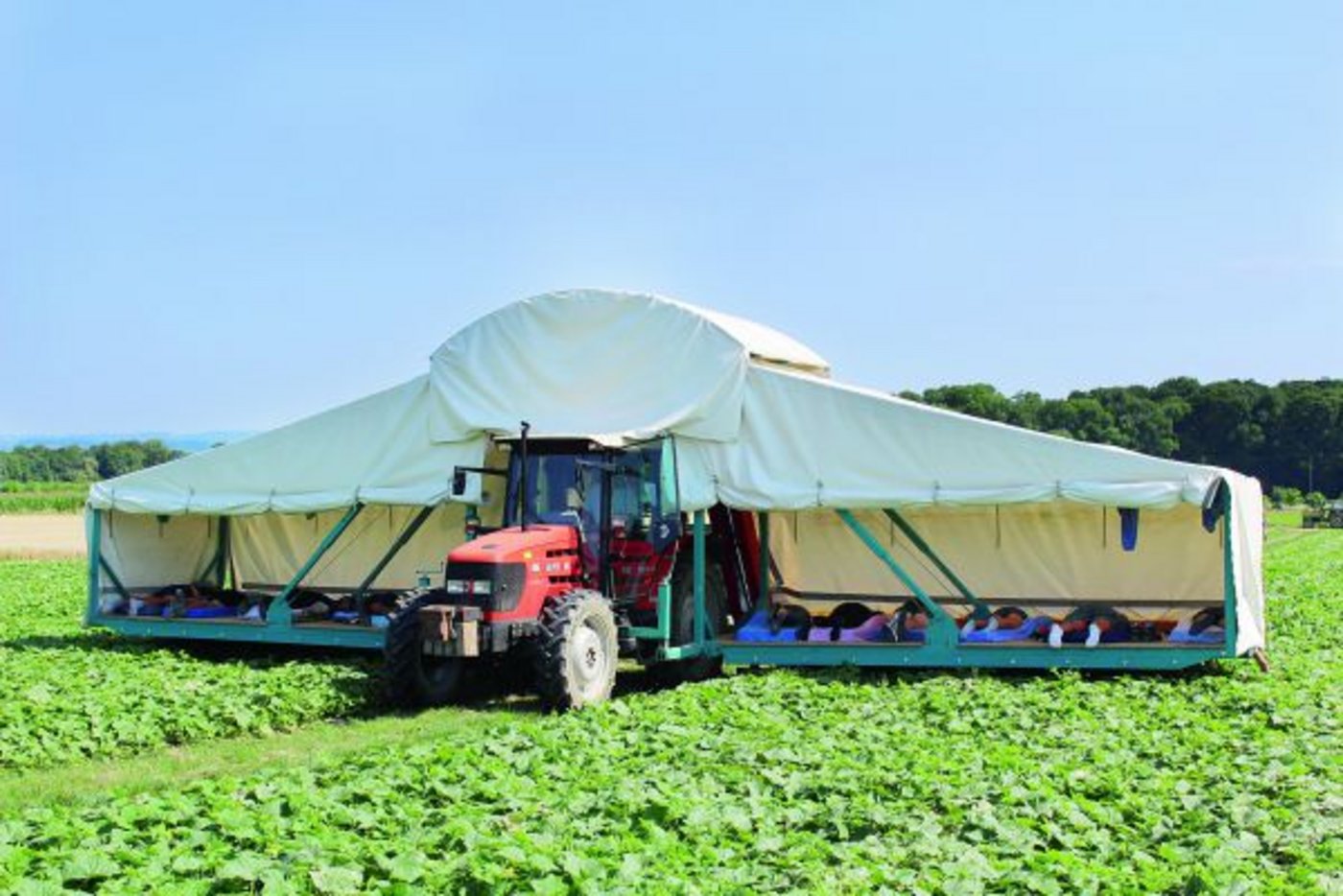 Der Anbau von Essiggurken ist sehr arbeitsintensiv, vor allem während der Erntezeit. Auf den beiden Tragflächen von Ferdinand Vogels Erntemaschine «Gurkenflieger» pflücken je sechs Arbeitskräfte auf dem Bauch liegend und von Hand Essiggurken.(Bild Trudi Krieg)