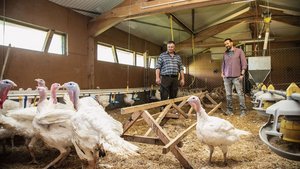 Landwirt Ueli Thöni Landwirt Ueli Thöni (links) und Lukas Stalder, Küchenchef im Grandhotel Giessbach, in Thönis Trutenstall in Brienz BE.