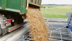 Seit diesem Winter w Seit diesem Winter wird in Hohenrain einheimische Energie eingefüllt. Geheizt wird neu mit Holzschnitzeln.