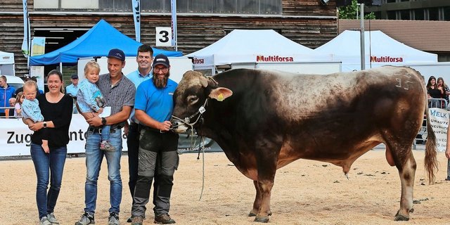 Schufi’s O Malley Otto von Samuel Schaufelberger aus Hittnau gewann den Titel Senior-Mister Stierenmarkt BS.