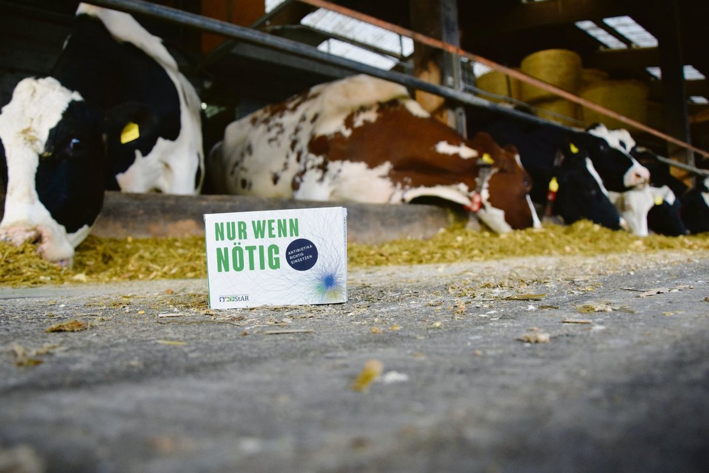 Antibiotika sollte nur so viel wie nötig, und so wenig wie möglich eingesetzt werden.(Bild BauZ)