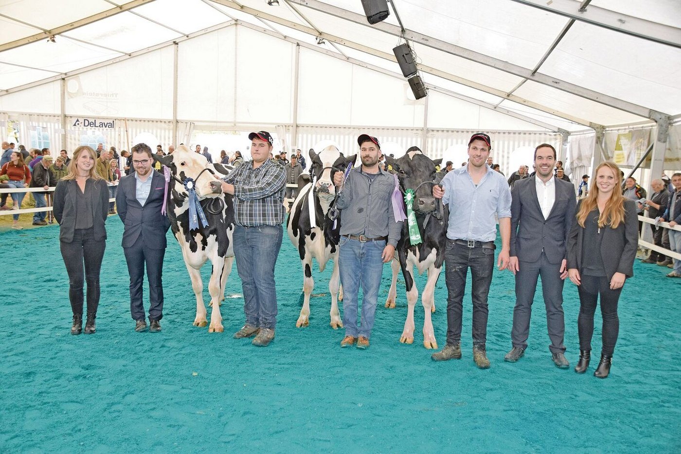 Senior HO (v. l. n. r.): Reserve: Heiterberg’s Aftershock Black Pearl; Miss: Le Paigre Applicable Atlanta; Mention: Meiender Mogul Melinda.