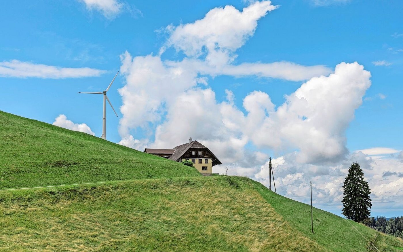 Ein Gutachten im Rahmen der Baubewilligung schliesst schädliche Einflüsse der Kleinwindanlage auf Vögel und Fledermäuse aus.