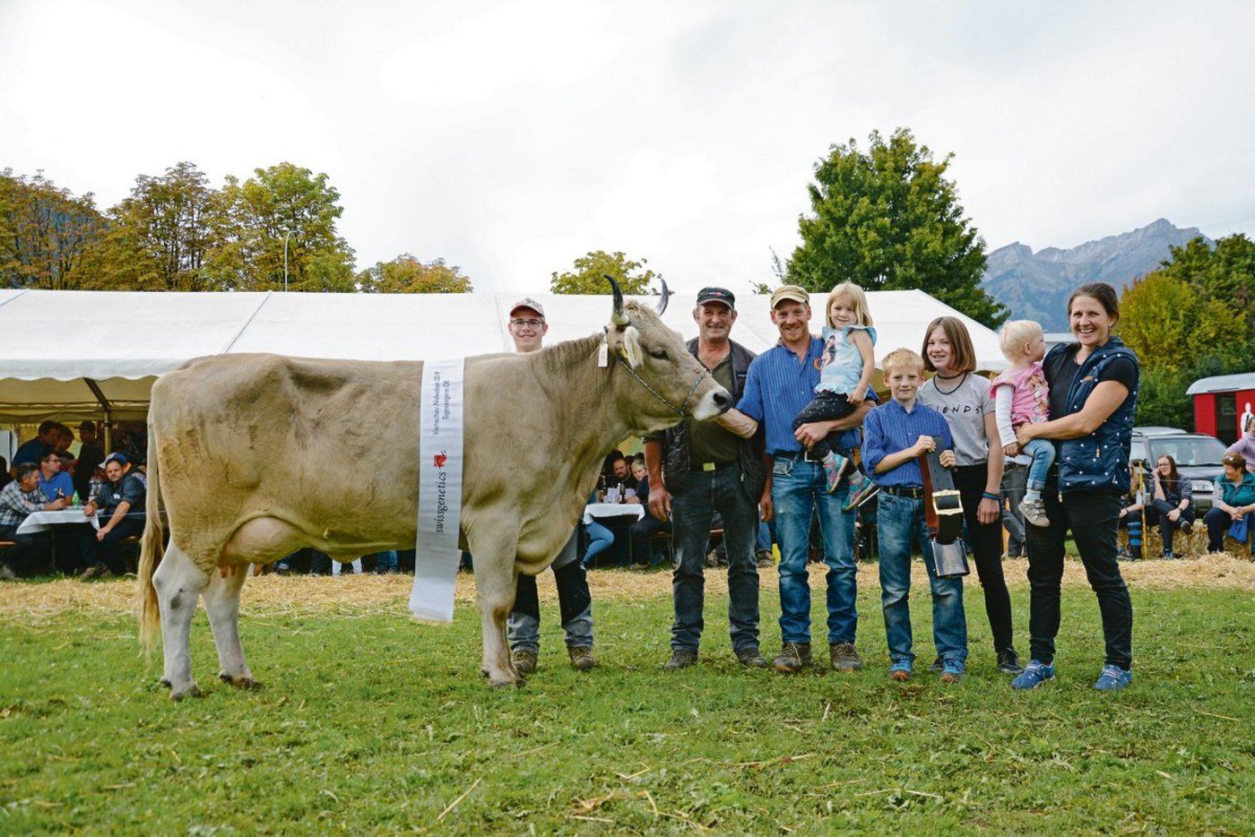 Miss Original Braunvieh wurde Rino Rivella von Andreas Käslin aus Ennetmoos. (Bilder Andrea Gysin)