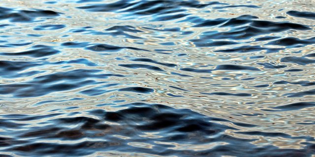 Syngenta betont, Chlorothalonil sei ein vielseitig wirkendes Fungizid. (Symbolbild Pixabay) 