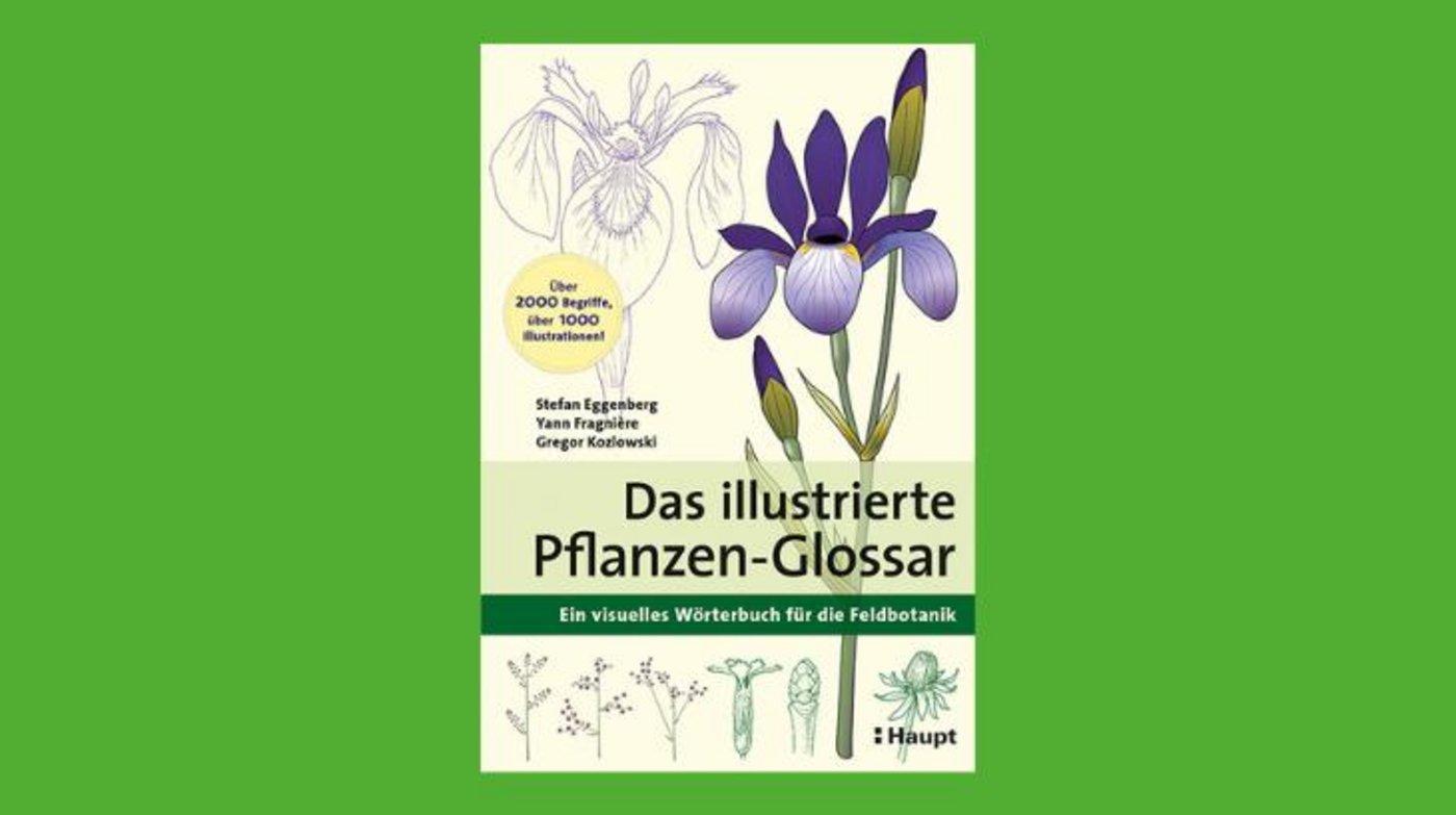 Bereits das Buchcover ist hübsch illustriert. (Bild Haupt Verlag)