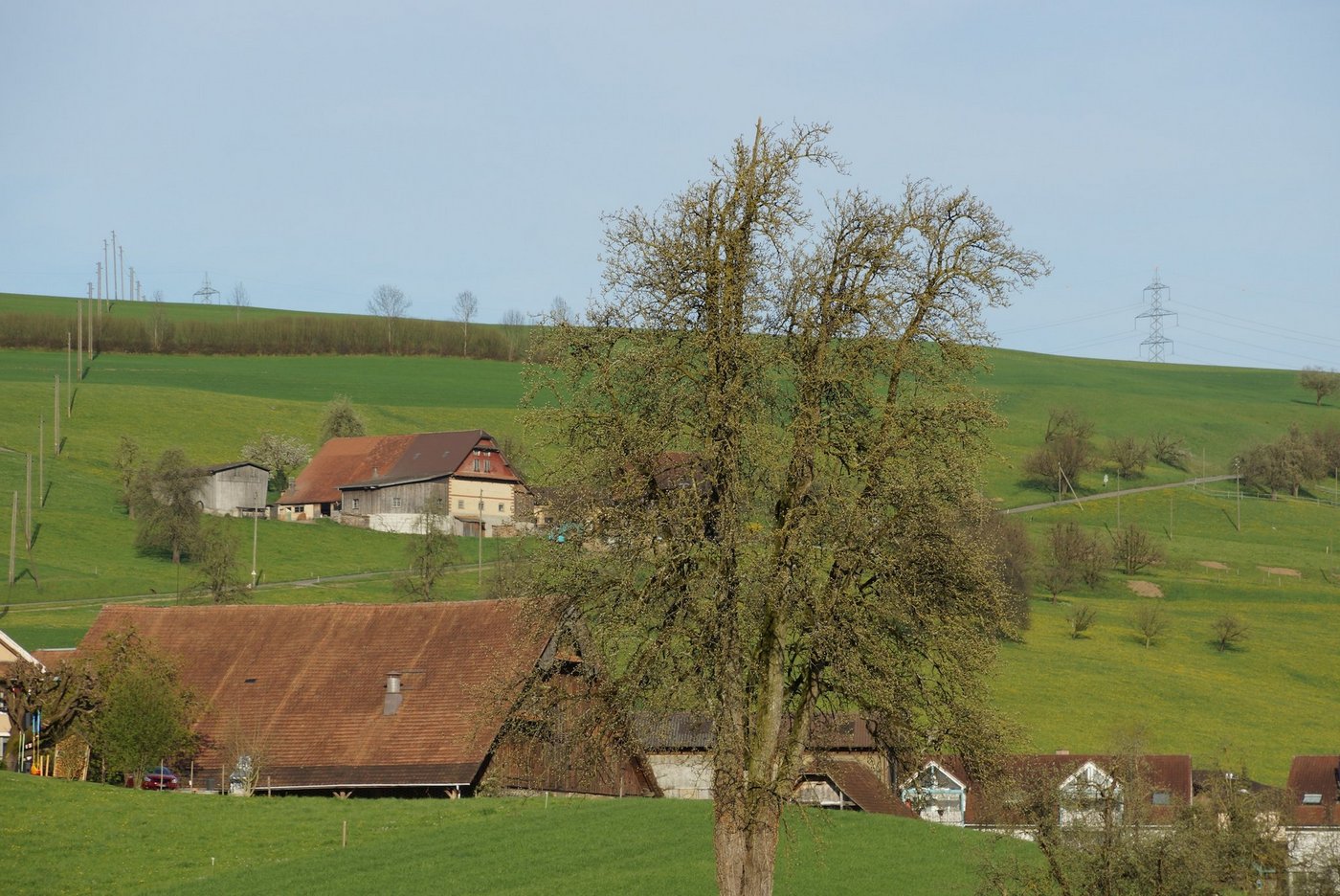 Die Albert Koechlin Stiftung engagiert sich mit drei neuen Projekten für die Zentralschweizer Landwirtschaft. (Archivbild BauZ)