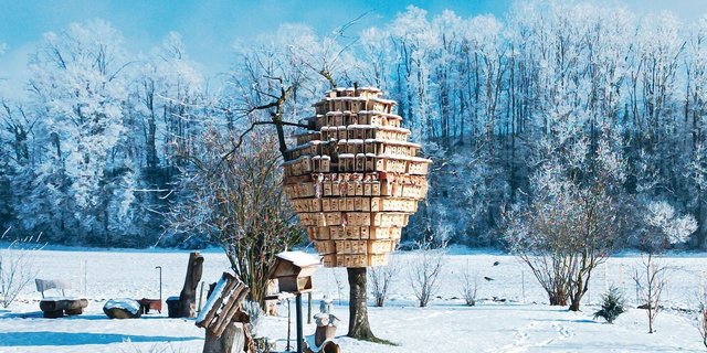 Rund 400 selbst gebaute Nistkästen hat Mario Koch an seinem alten Kirschbaum installiert.