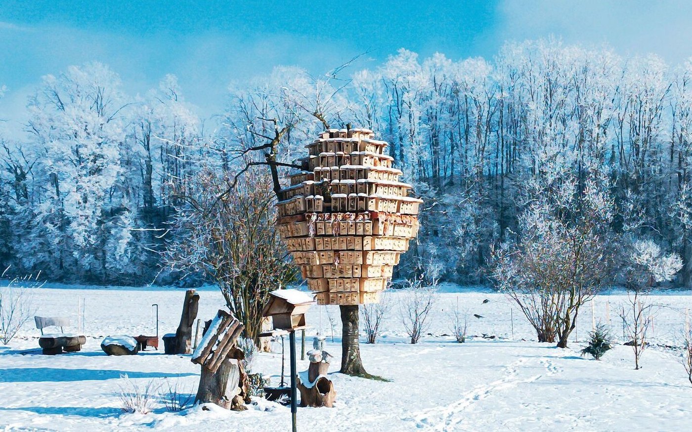 Rund 400 selbst gebaute Nistkästen hat Mario Koch an seinem alten Kirschbaum installiert.