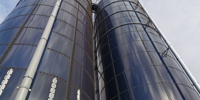 Die Hochsilos leeren sich allmählich. Bei der Entnahme der Silage kommt die oberste Schicht mit Luft in Kontakt. Nimmt man nicht genügend Silage ab, können Pilze entstehen. (Bild Simone Barth)
