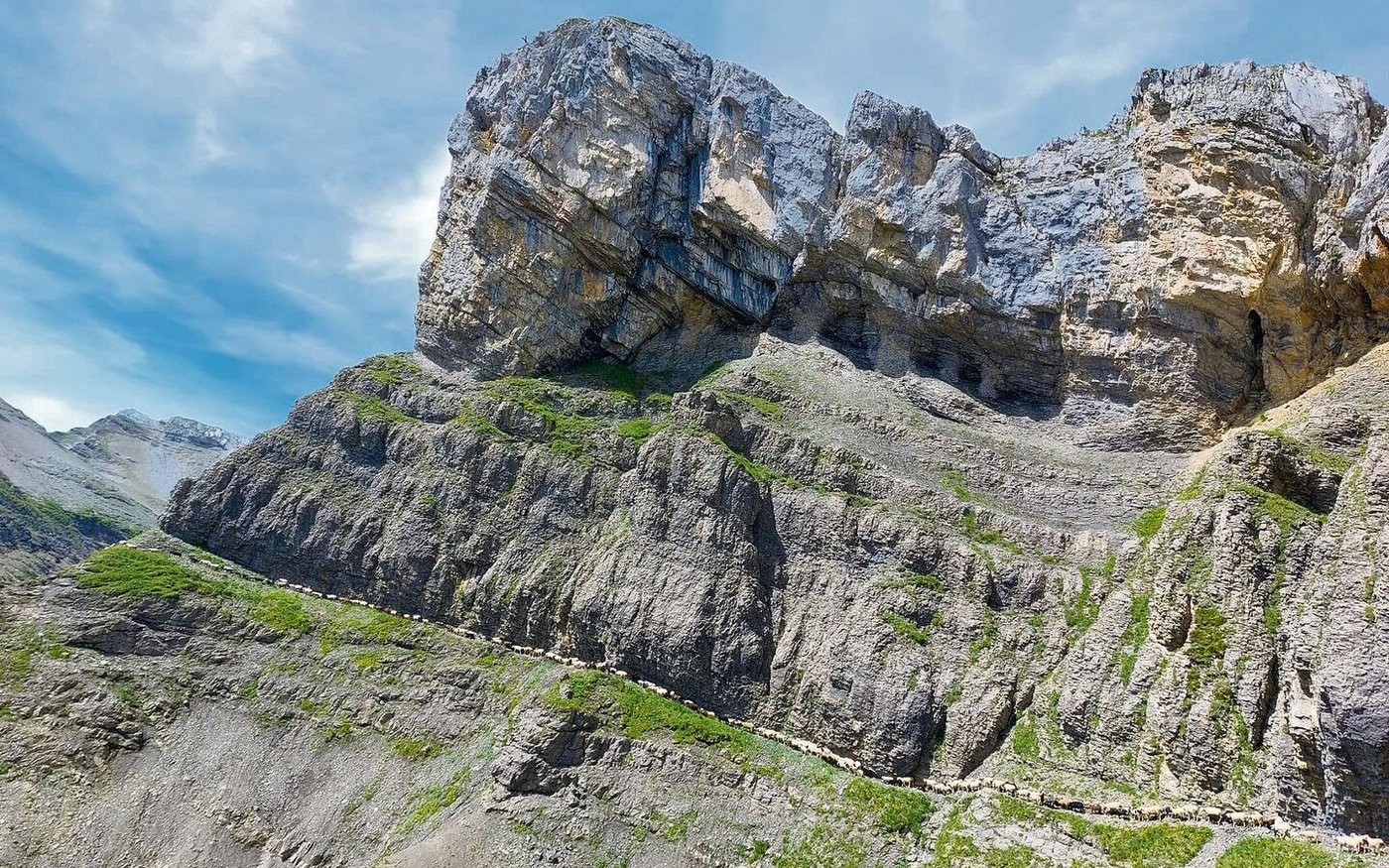 Schafe sind vielfach im unwegsamem und steilem Gelände unterwegs. Entsprechend anspruchsvoll sind die Herdenschutzmassnahmen in solchen Gebieten.