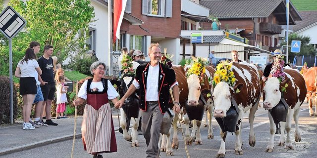 Susanne und Urs Bernhard marschieren mit ihrer Kuhherde vorneweg. Rund 20 Kühe haben sie für die Alpabfahrt herausgeputzt. 