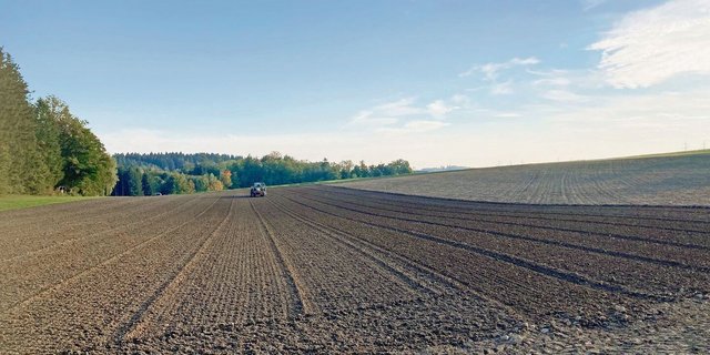 Das weite Zeitfenster bot ideale Bedingungen für die Bodenbearbeitung. Nun folgt die Weizensaat. Ein anschliessendes Anwalzen fördert den Bodenschluss und ein gleichmässiges Auflaufen der Kultur. 