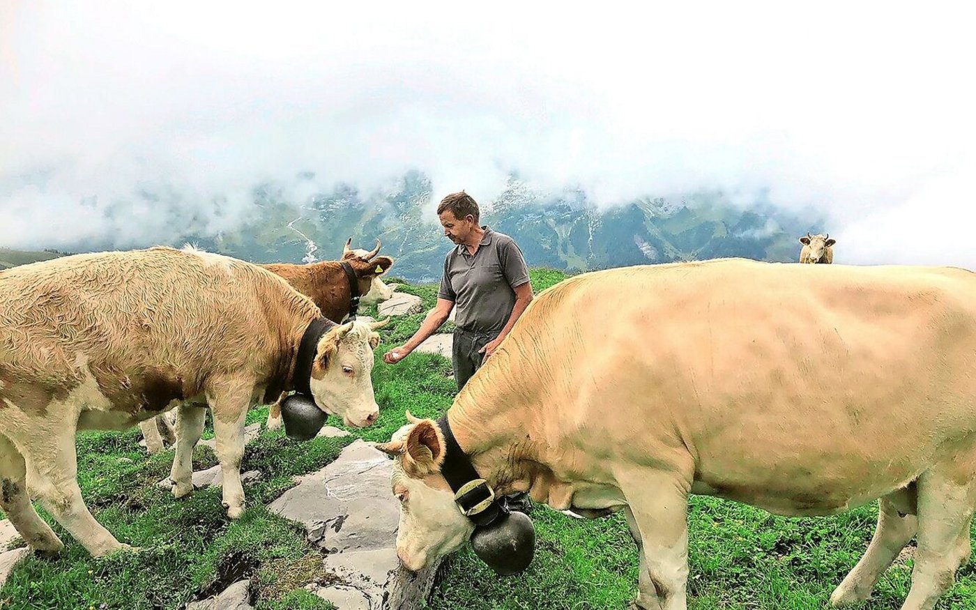 «Jeden Frühling ein Heimkommen»: Erich von Siebenthal auf der Alp.  