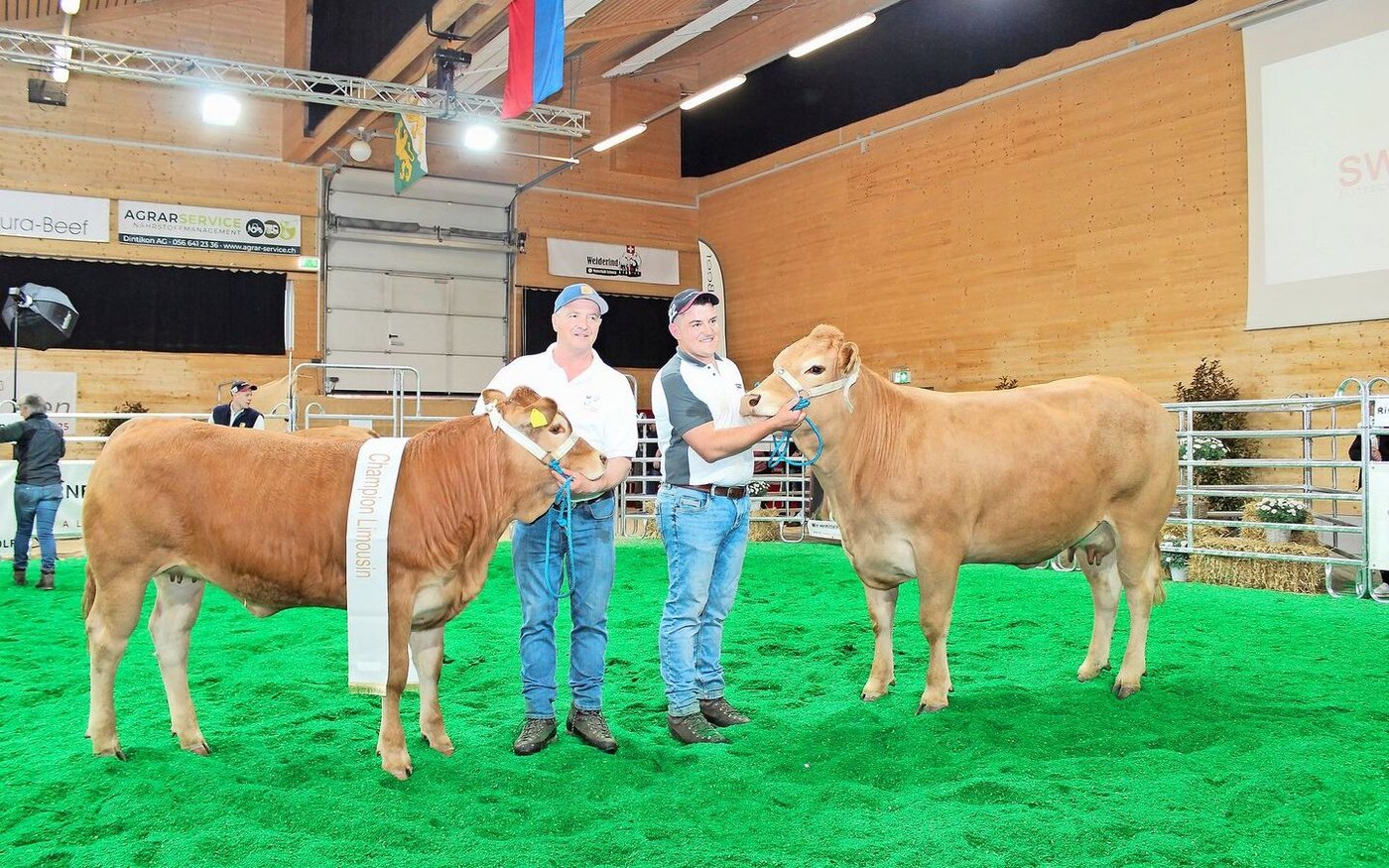 Franz (links) und Elia Burri präsentieren die Champion der Rasse Limousin, Burri’s Colett.