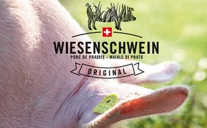Würde für Mastschweine "Wiesenschweine" haben Auslauf und vielfältige Beschäftigungsmöglichkeiten. Oliver Hess hatte einige Hindernisse zu überwinden, auf dem Weg zu einem würdevolleren Schweineleben. (Bild Falzprospekt "Wiesenschweine")