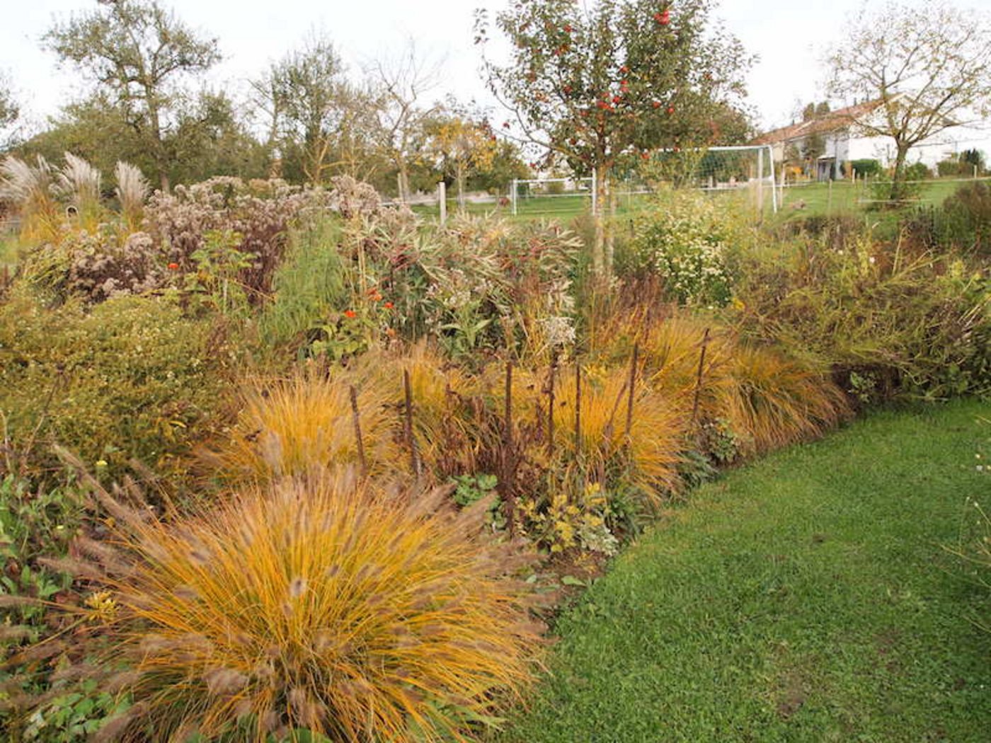 2.	Herbstaspekt mit dem Lampenputzergras, einem niedrigen Gras.
