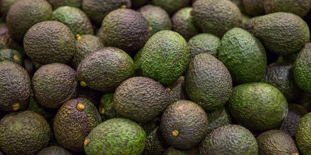 Die Avocado wird direkt beim Zulieferer mit der geschmacklosen Fett-Schicht überzogen. (Bild Migros)