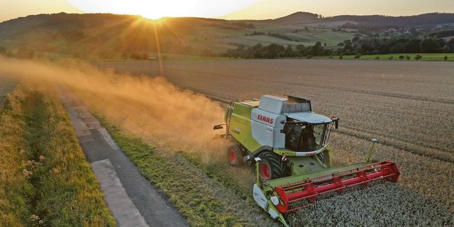 Ein Drescher wirbelt bei der Ernte Staub auf: Als weitere Unterform der exogenen allergischen Alveolitis kennt man auch die «Drescherlunge», die durch Getreidestaub hervorgerufen wird. 