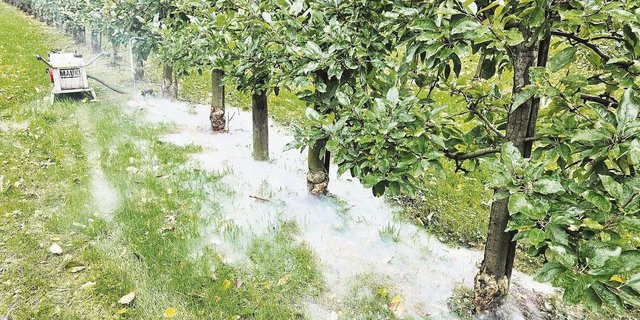 Bei der Mäusebekämpfung mit dem Mauki werden die weitverzweigten Gangsysteme sichtbar.