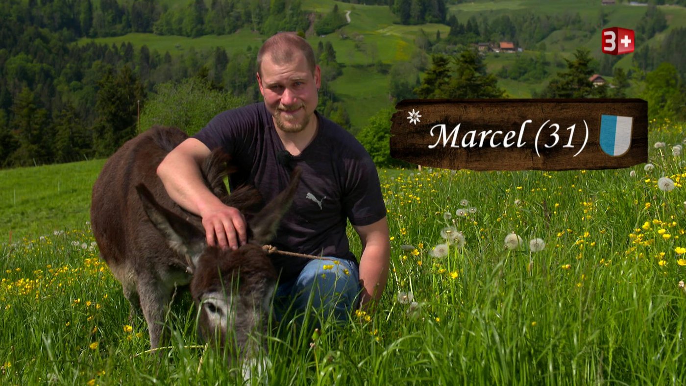 Marcel hat sein Hobby zum Beruf gemacht. (Bilder 3+)