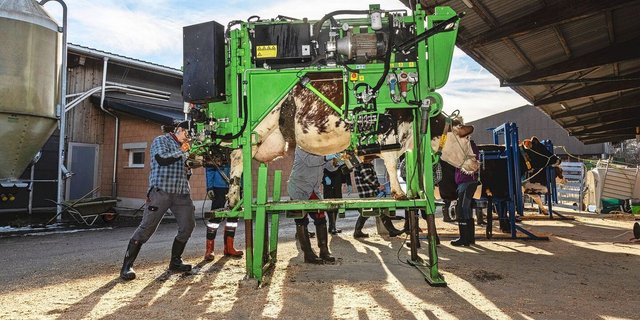 Am Kurs zur funktionellen Klauenpflege beim Rind konnten die Teilnehmenden mit diversen Klauenstandmodellen arbeiten. 