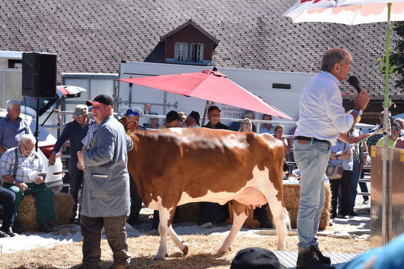 Die super aufgeeuterte Magnum Eviana, eine Swiss Fleckviehkuh von Simon Eichenberger aus Arni BE, ging für 4400 Franken über den Tisch.