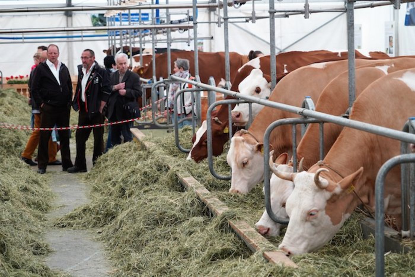 Eindrücke von der BEA Eröffnung... (Bilder mr/lid)